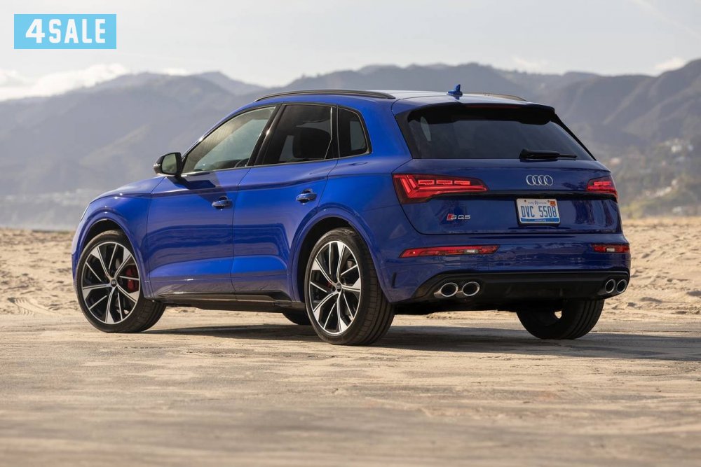 S Q53