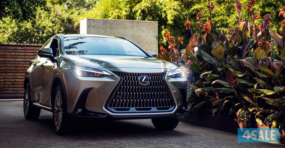 Lexus NX 2024 3501