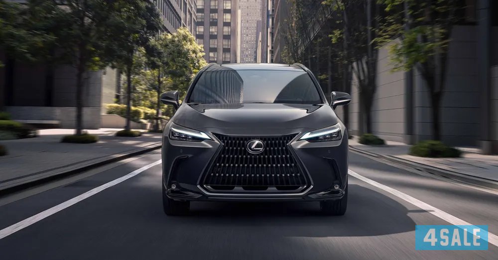 Lexus NX 2024 3503