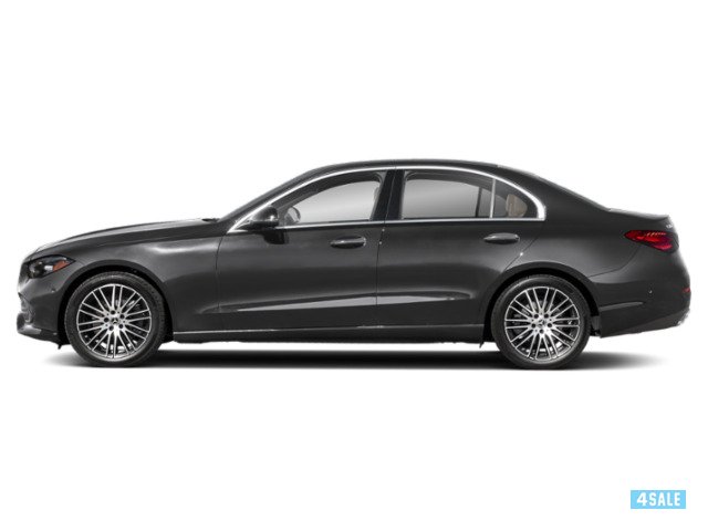 C 3003