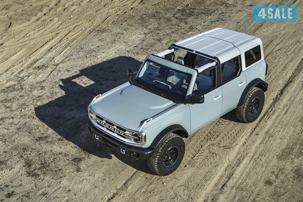 Bronco1