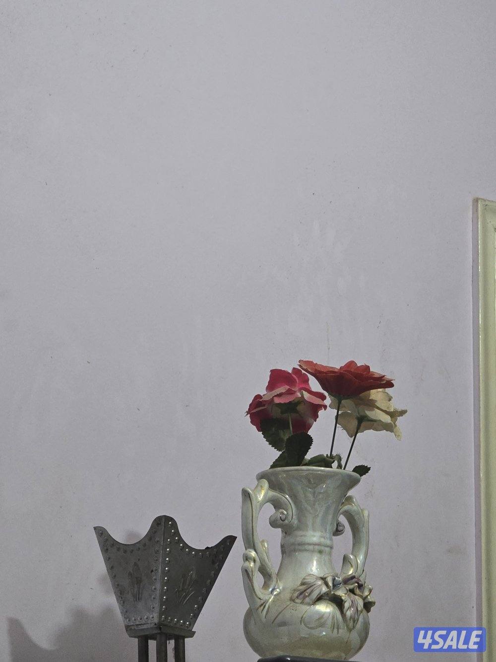 نبنيننينسنسن0