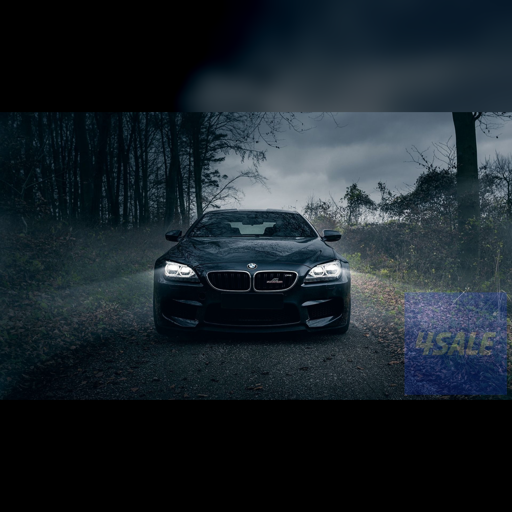 test 15 image and 1 video with presigned uploader9