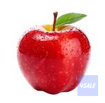 Test Test Test0