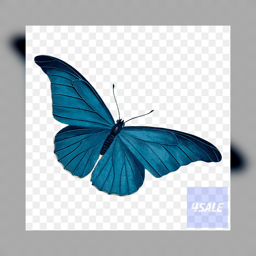 test different images5