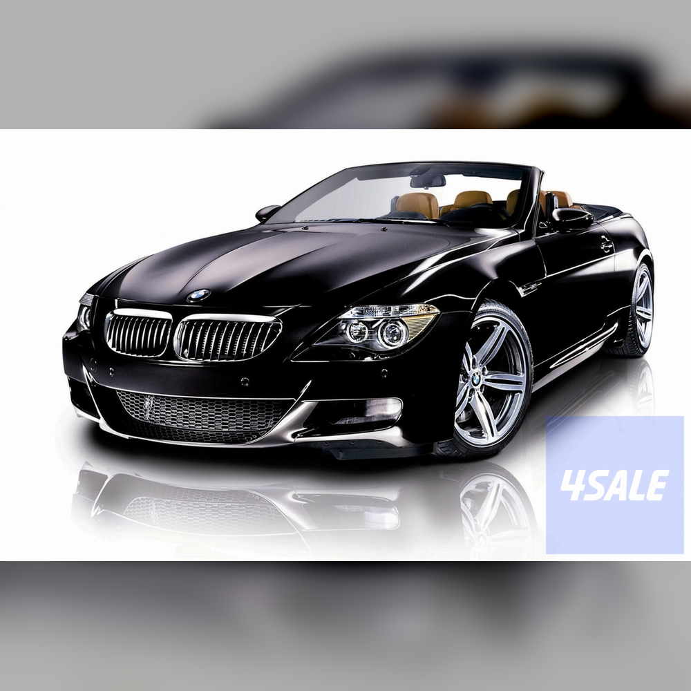 test 15 image and 1 video with presigned uploader4